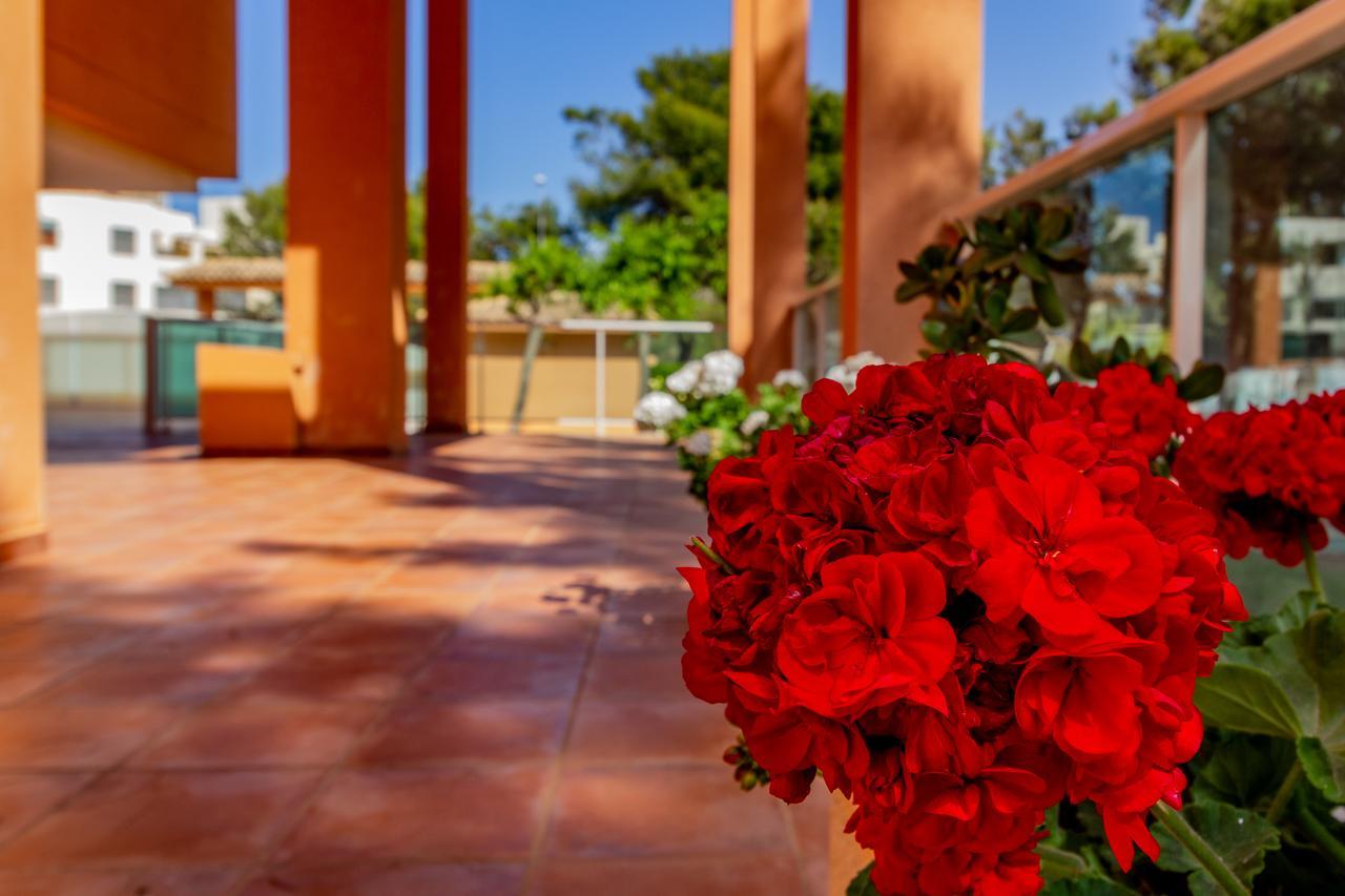 Realrent Mirador Al Mar Lejlighed Dénia Eksteriør billede